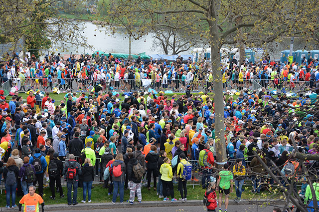Nilcargo Team beim Wien Marathon 2016
