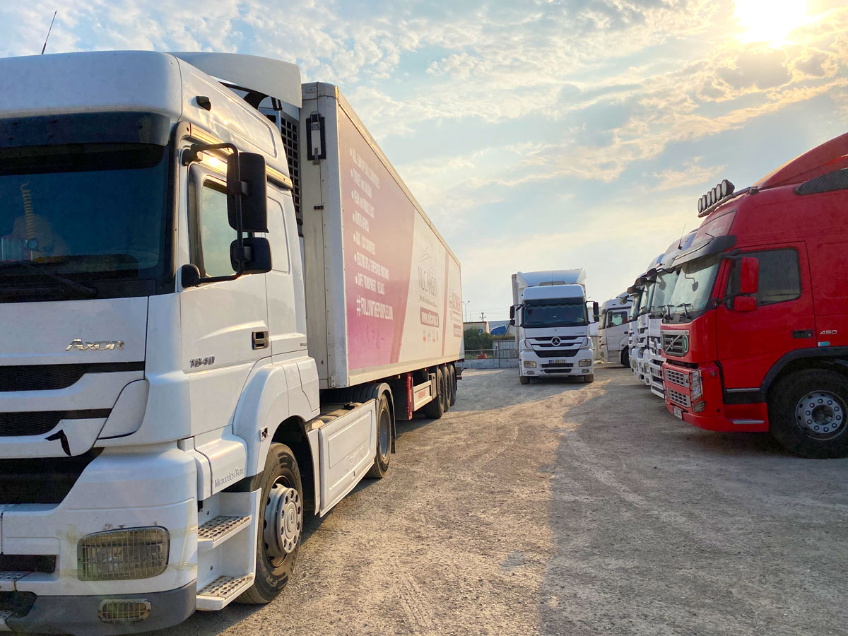 Nilcargo LKW in Nilcargo Lila